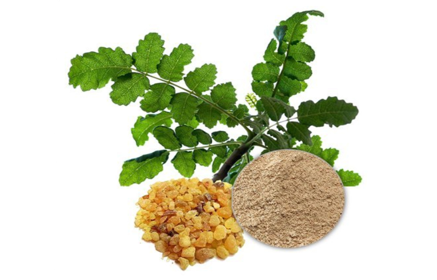 Boswellia Extract - Support Healthy Joints
